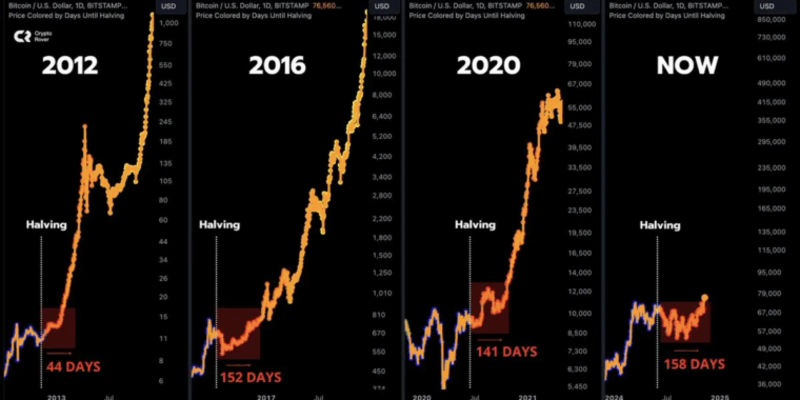 How to accurately track a bitcoin price prediction bull cycle