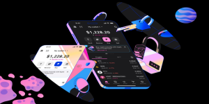 Why Modern Portfolios Depend on a Multi Chain Crypto Wallet